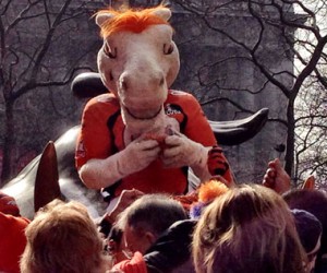 Denver Broncos Mascot Miles at Bowling Green, NYC on Feb. 1, 2014. 