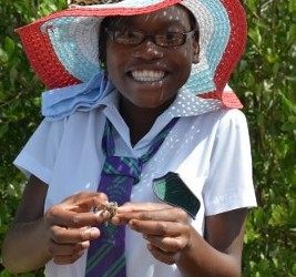 The Khaled bin Sultan Living Oceans Foundation launches a mangrove restoration project in Jamaica.The Khaled bin Sultan Living Oceans Foundation launches a mangrove restoration project in Jamaica.