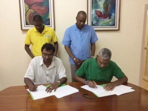 apnu-afc-cummingsburg accord