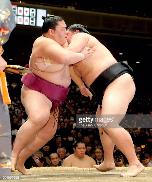 Ciao Willy Pic Of The Day Sumo Wrestlers Caribbean And