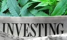 marijuana-stocks-to-watch