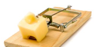 democrats-falling-into-trumps-mousetrap