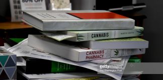 Cannabis-Studies