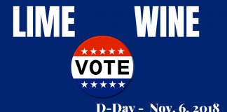 CaribPRWire-carnival-theme-US-voter-education-campaign