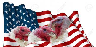 The-US-biggest-turkeys-in-2018