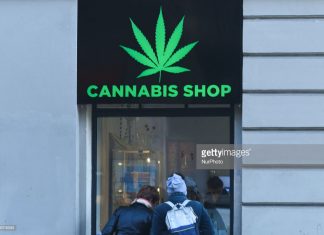 cannabis-shop