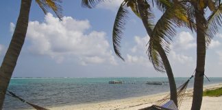 caribbean-travel-photo-of-the-day-cayman-islands