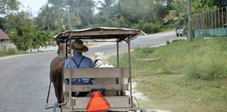 caribbean-travel-photo-of-the-day-belize