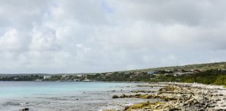 bonaire-caribbean-travel-photo-of-the-day