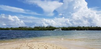 caribbean-travel-photo-of-the-day-tobago