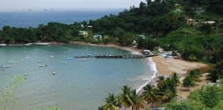 caribbean-photo-of-the-day-tobago