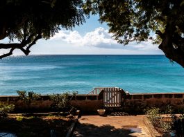 caribbean-photo-of-the-day-barbados