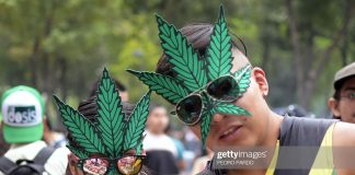 MEXICO-MARIJUANA