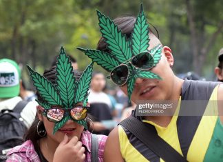 MEXICO-MARIJUANA