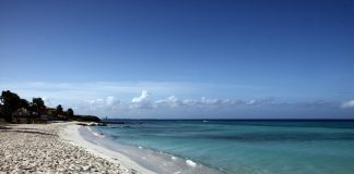 caribbean-travel-photo-of-the-day-aruba