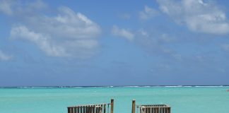 caribbean-travel-photo-of-the-day-bonaire