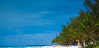 caribbean-travel-photo-of-the-day-barbados