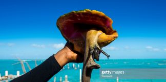 caribbean-travel-photo-of-the-day-turks-and-caicos