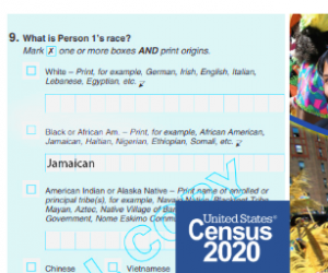 caribid--us-census-2020-