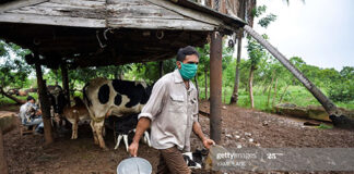 cuban-farmer