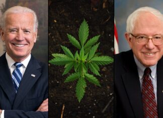 biden-sanders-marijuana