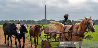 cuba-coronavirus-fight