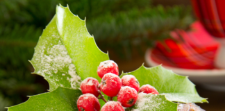 Christmas Plum Pudding