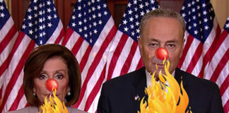 nancy-pelosi-chuck-schumer-must-go