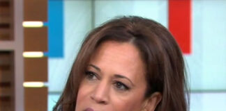 kamala-harris-should-also-be-named-americas-ambasador-to-the-caribbean