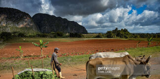 cuba-economy