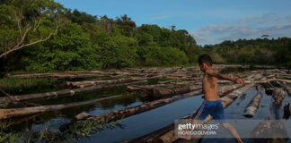 amazon-rain-forest