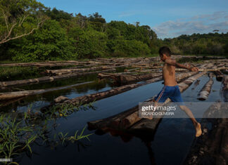 amazon-rain-forest