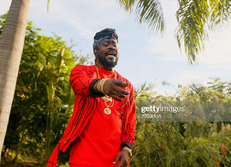 beenie-man