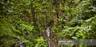 dominica