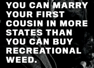 jay-z-weed-brand-posts-ads-contradiction-cannabis-laws