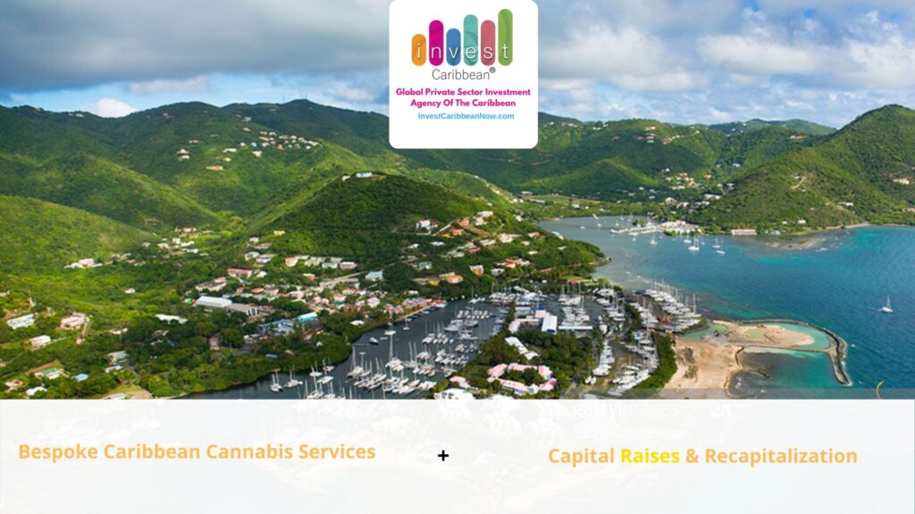 invest-caribbean-services
