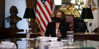 kamala-harris-immigration-czar