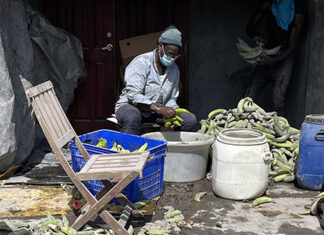 saint-vincent-plantain-farmer