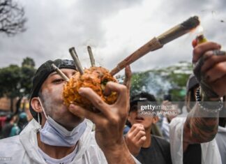 colombia-marijuana