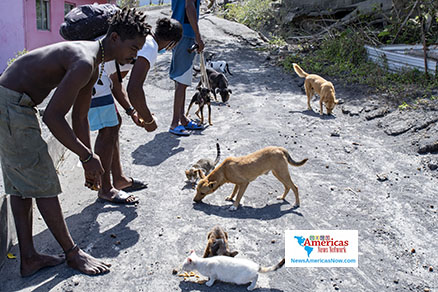 owia-residents-feed-hungry-animals-in-st-vincent