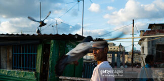 pigeon-rearing-in-cuba