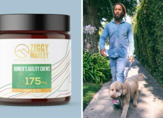 Ziggy-Marley-gets-into-cbd