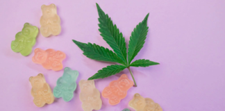 cbd-edibles