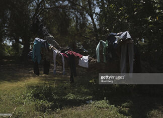 haitians-in-mexico