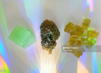 hemp-gummies