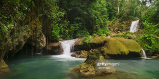 jamaica-dunns-river-falls