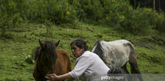 latin-america-economy