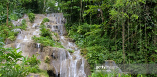 jamaica-mahoe-falls