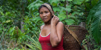 indigenous-guardians-of-the-rainforest