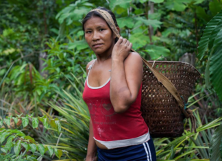 indigenous-guardians-of-the-rainforest